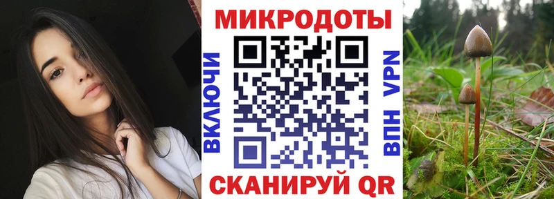 Купить  Белгород  Галлюциногенные грибы Cubensis 