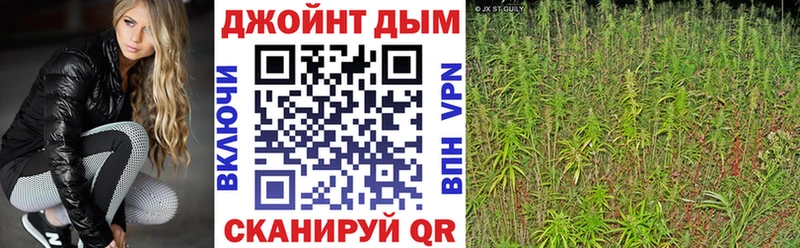 Купить закладки  Белгород  Бошки Шишки Amnesia 